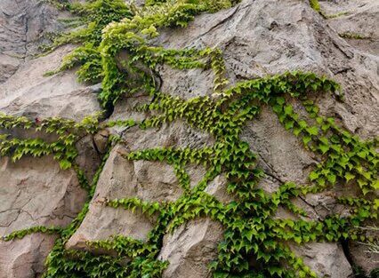 Декорации из бетона для аттракциона ШАХТА 1771 - фото 17