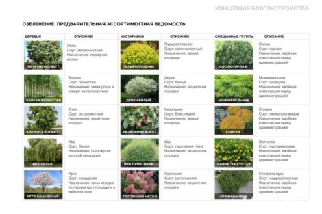 Благоустройство главной площади города - фото 13