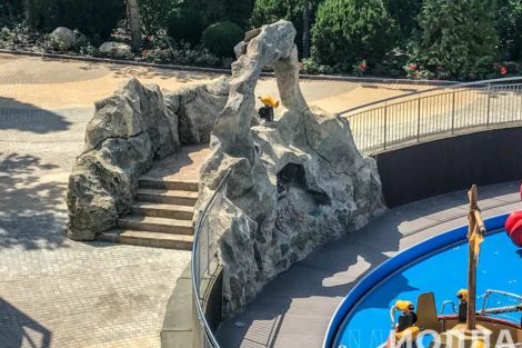 Декорации для аттракциона Визги Брызги - фото 3