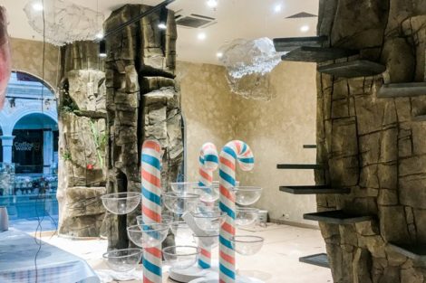 Интерьер магазина сладостей BILIMBI - фото 25