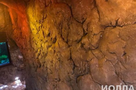 Интерьер Салона Даниэль - фото 21