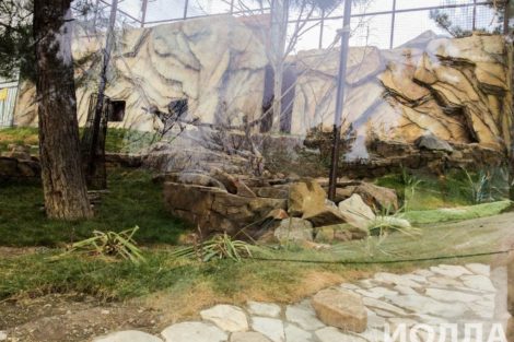 Искусственный водопад и скалы для вольера - фото 5