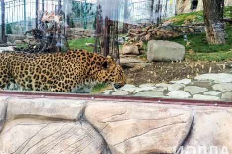 Искусственный водопад и скалы для вольера - фото 6