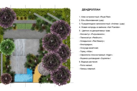 Малый сад Декаданс - фото 6