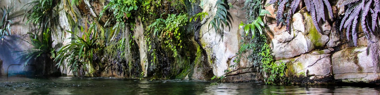 Оформление Москвариума