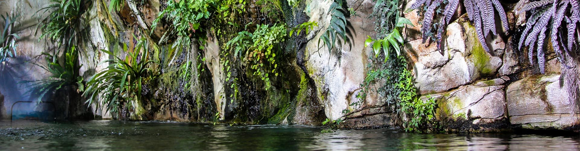 Оформление Москвариума