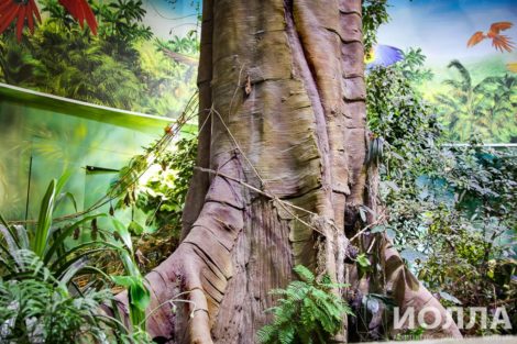 Оформление Москвариума - фото 1