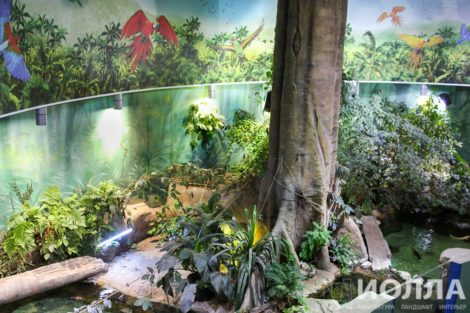 Оформление Москвариума - фото 2