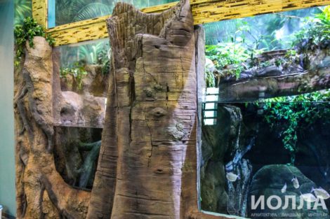 Оформление Москвариума - фото 5