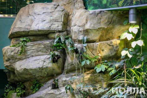 Оформление Москвариума - фото 6