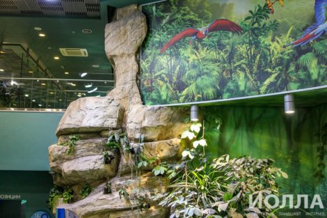Оформление Москвариума - фото 6