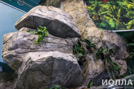 Оформление Москвариума - фото 7