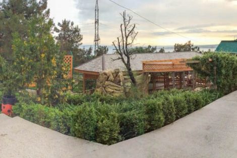 Вольер для капибары - фото 12