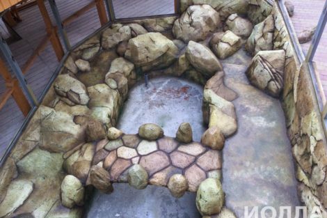 Вольер для капибары - фото 4