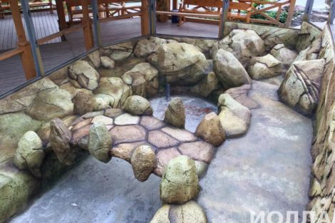 Вольер для капибары - фото 5