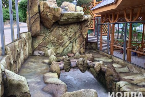 Вольер для капибары - фото 6