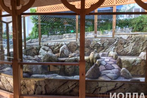 Вольер для капибары - фото 8