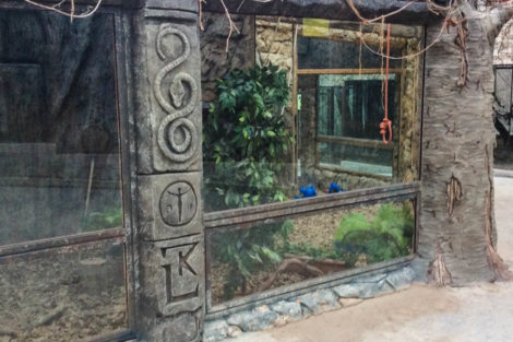 Зимний вольер для обезьян - фото 2