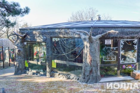 Зимний вольер для обезьян - фото 3