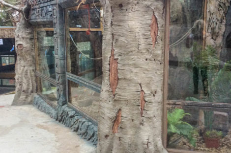 Зимний вольер для обезьян - фото 4