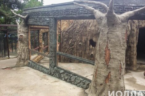 Зимний вольер для обезьян - фото 6