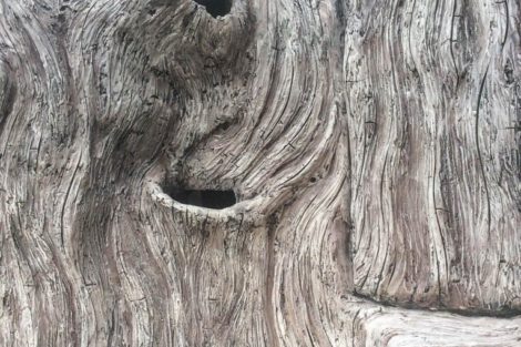 Зимний вольер для обезьян - фото 7