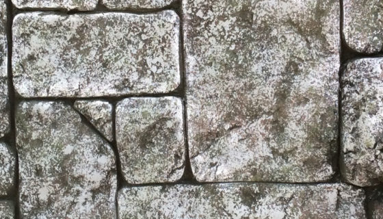 Зимний вольер для обезьян фото