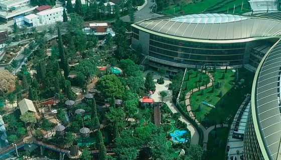 Новости Иолла Арт