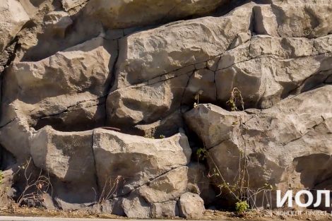 стены для оформления вилл - фото 10