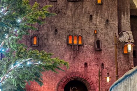 роспись фасада отеля трансильвания - фото 5