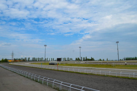 Летняя встреча РАППА в Уфе - фото 27