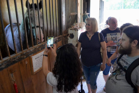 Летняя встреча РАППА в Уфе - фото 31