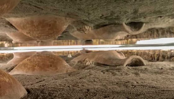 Музейная экспозиция Винный банк